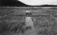 picpage01_1.GIF (19479 bytes)