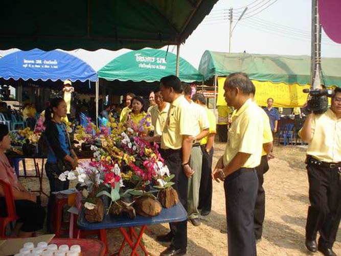 pre-048