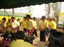 pre-047