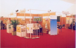 BPic110.jpg