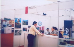 BPic113.jpg